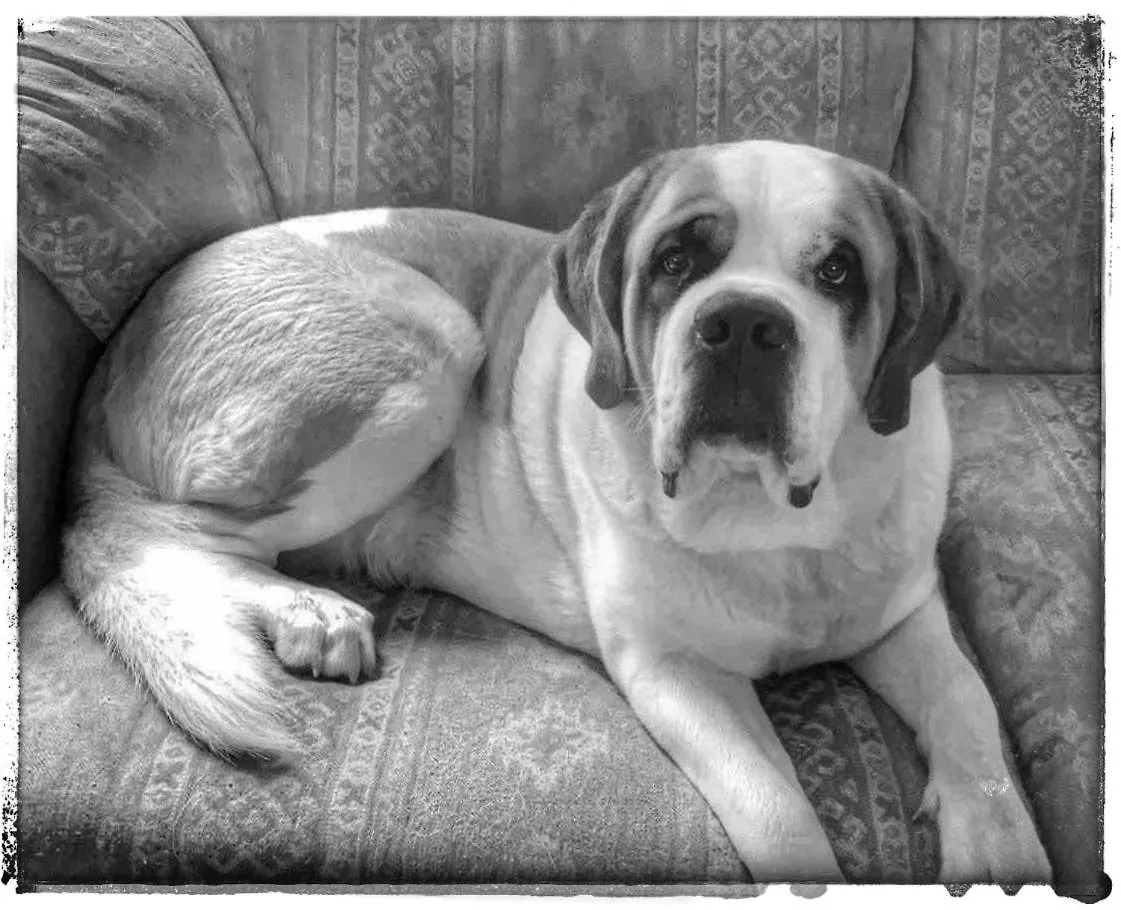 Ruddles Retreat Villa Maleny